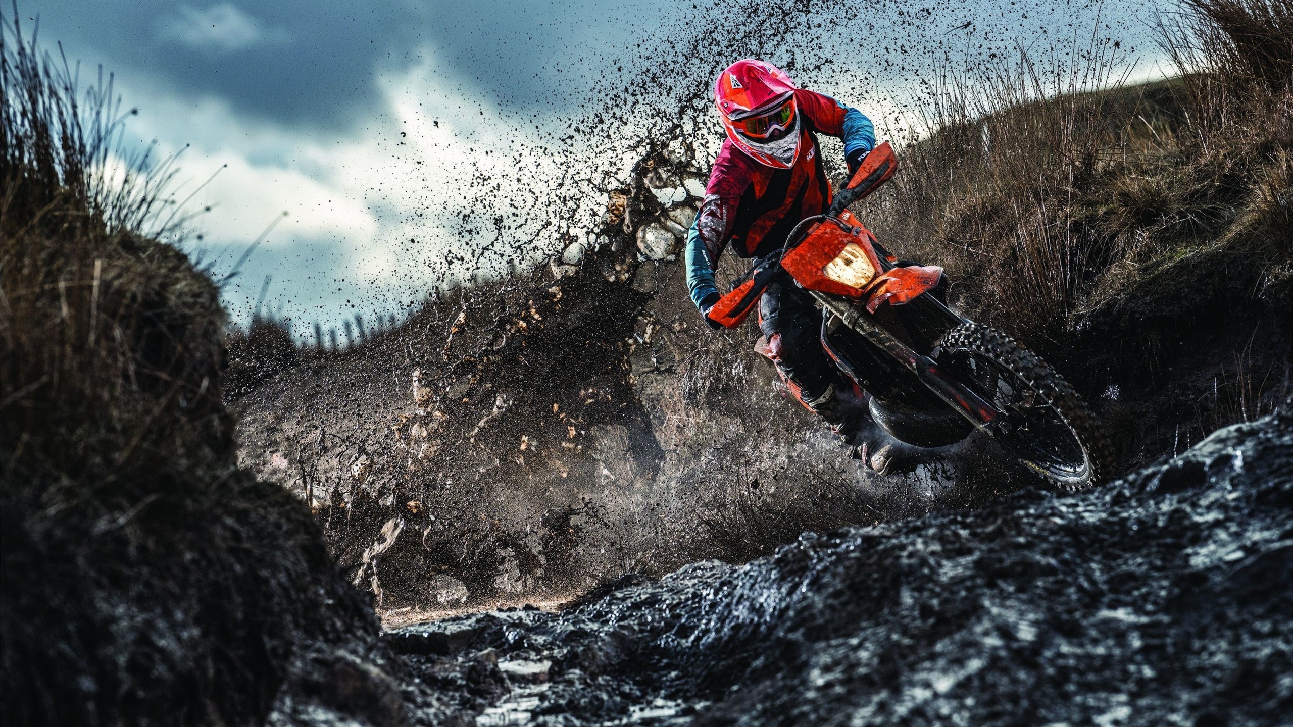 北非雄狮的叹息，伊布风暴下的阿森纳之夜