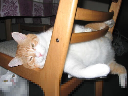 铁闸撕裂防线，阿坎吉的轰鸣一击铸就突尼斯关键战突围之路