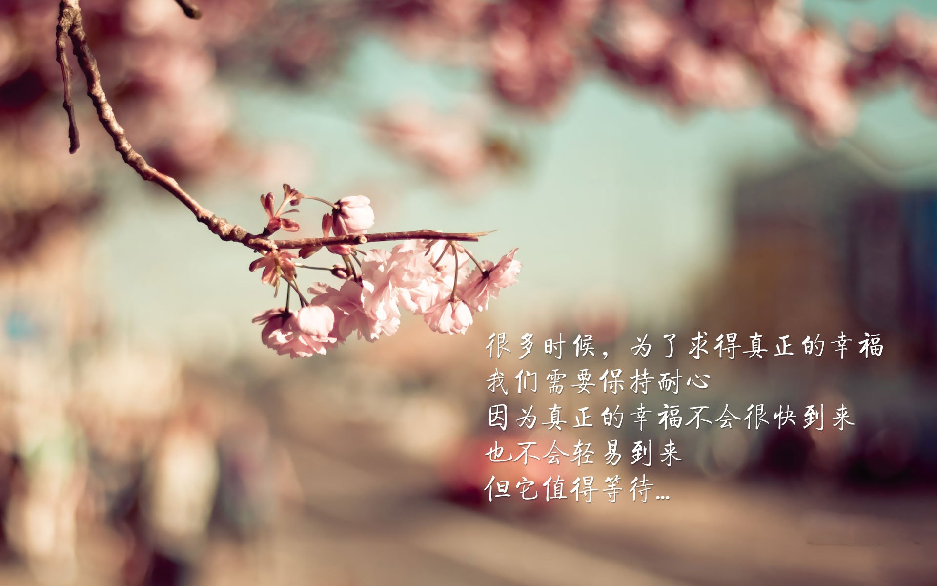 NBA季后赛焦点战，尼日利亚闪电终结土耳其悬念