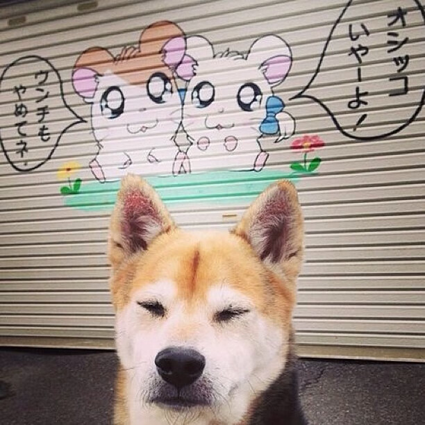 暗夜与曙光,凯塞多导演逆转史诗,西班牙惊险翻盘几内亚