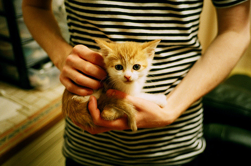 首人击碎历史!门迪斋月献助攻,哥斯达黎加爆冷击退委内瑞拉