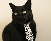 绿军的精密钟摆与凤凰城的烈焰狂飙,当节奏掌控遇上布克的决胜时刻