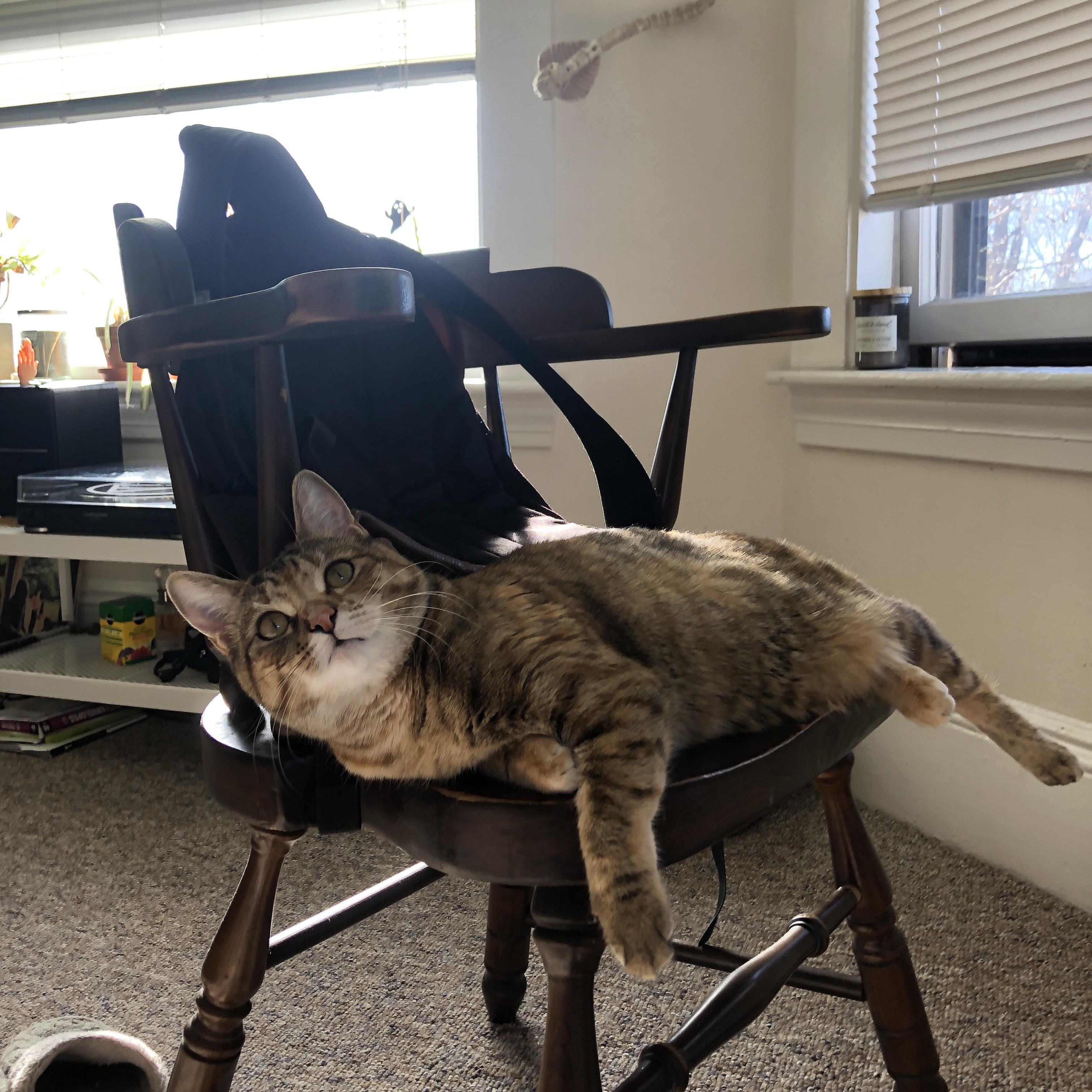 终结神话的唯一密钥,孔德如何将勒沃库森锻造成利物浦不败王朝的终结者