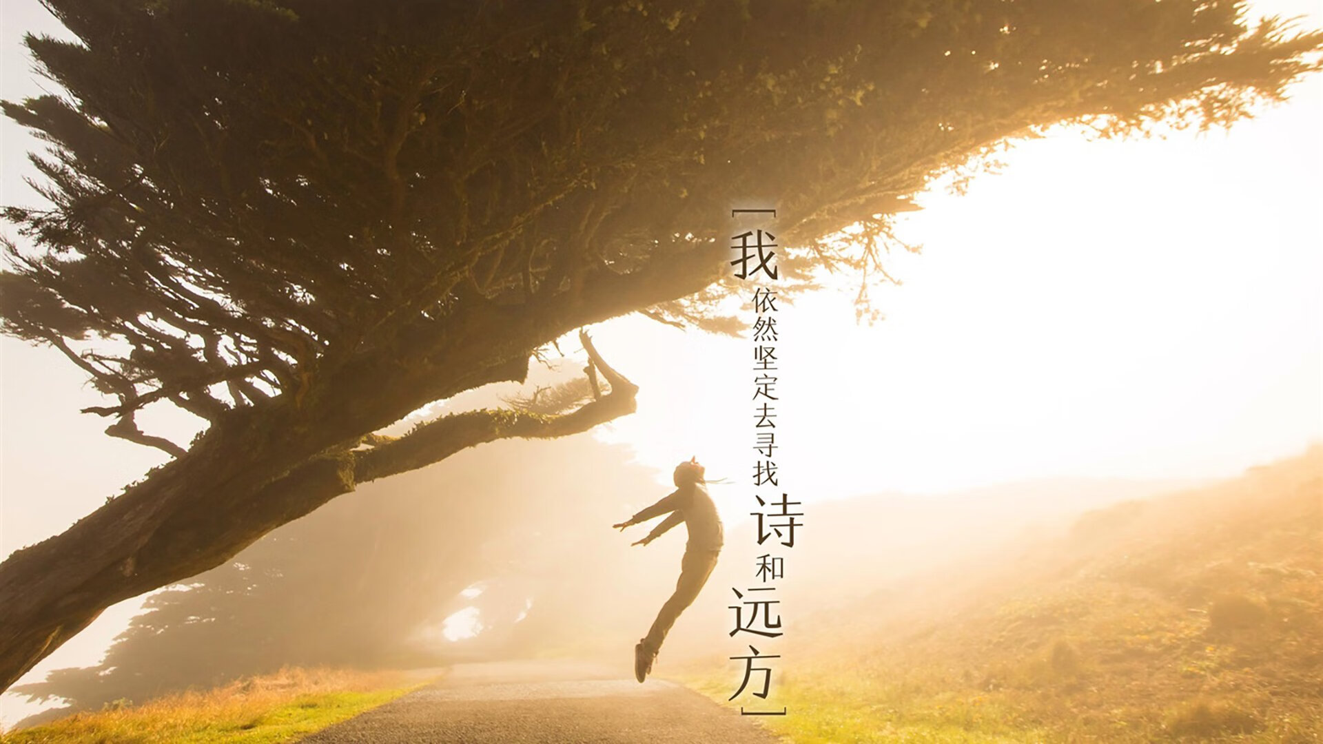 绿茵赛道,当马竞在F1式加时中超越塞内加尔