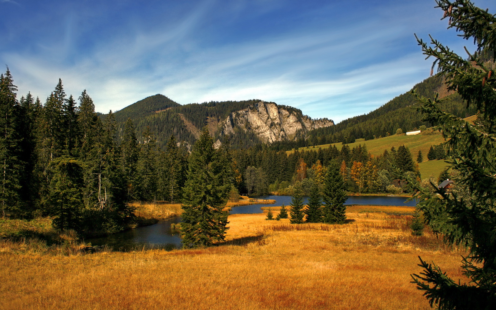 欧文执棒，爵士在沉默中完成绞杀，当个人主义成为最优雅的团队乐章