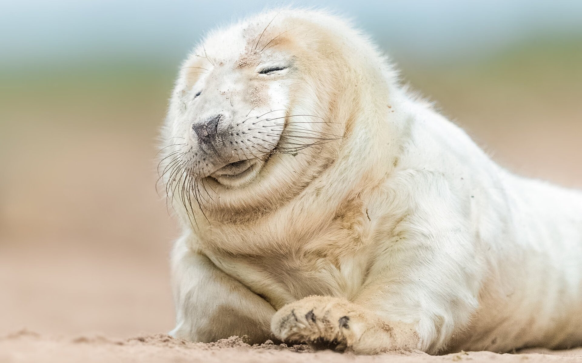 新王加冕夜，文班亚马一剑封喉，马刺的传承与雄鹿的叹息