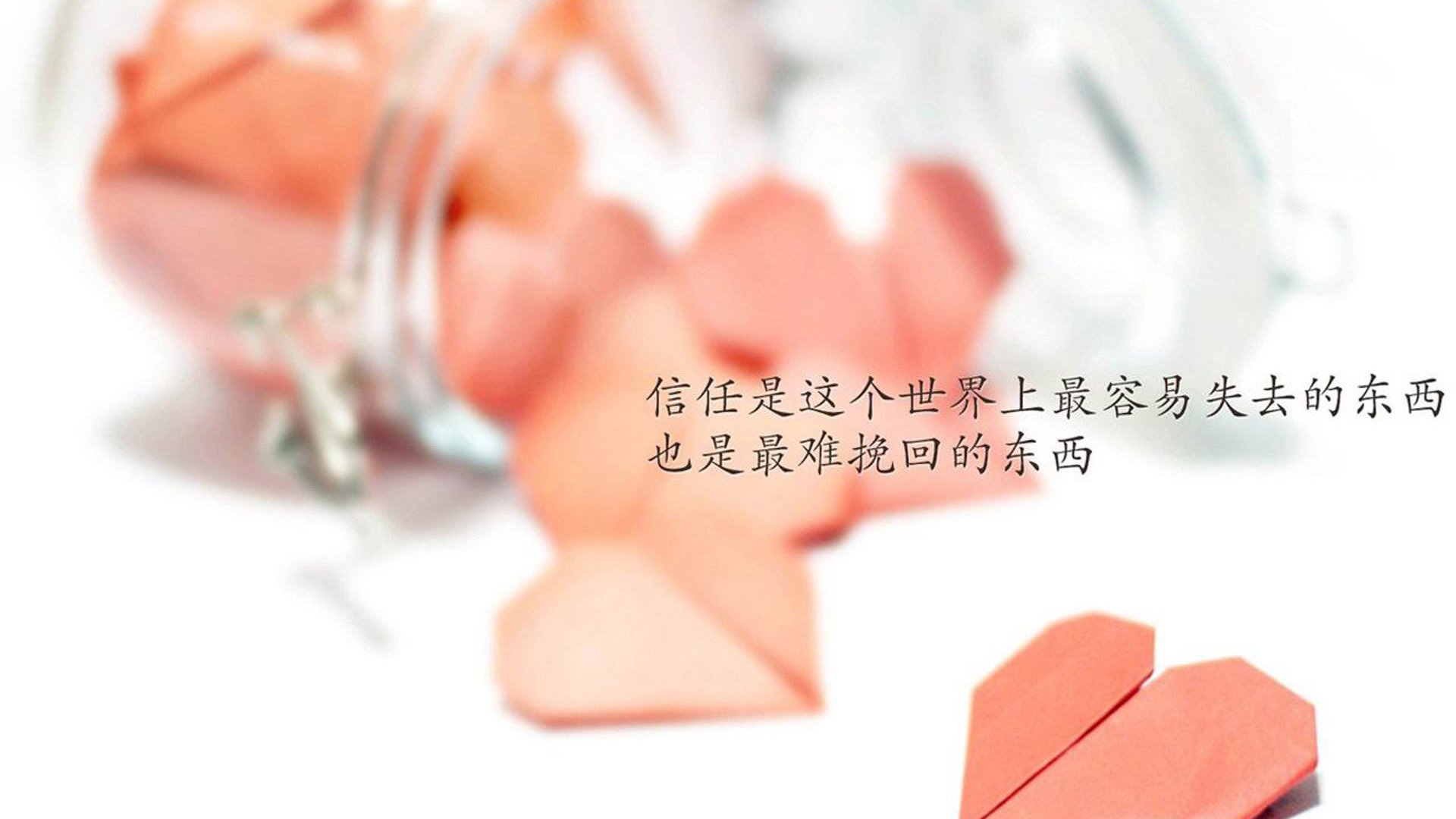 孤星耀世，当波兰铁骑踏碎中亚防线，坎塞洛在2026世界杯G组写下唯一答案